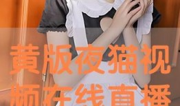 夜猫在线观看视频播放,揭秘深夜视频播放的秘密世界